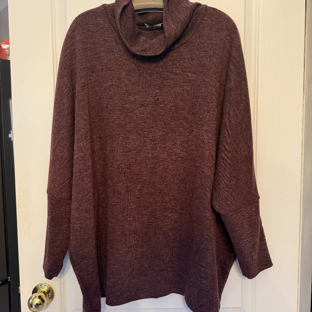 Brown/Burgundy Turtleneck